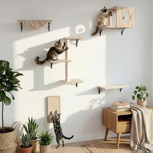Cat Wall Shelves, Cat Wall Mounted Furniture, Climbing Wall Systems by Unknown