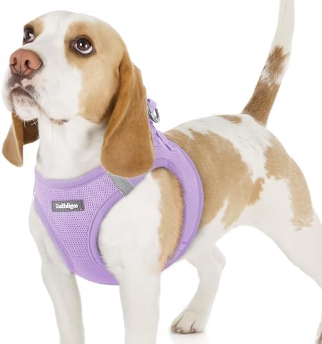 rabbitgoo Step-in Small Dog Harness, Puppy Vest by rabbitgoo