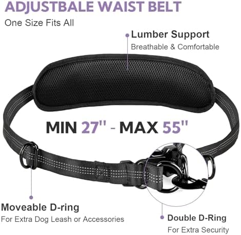 Hands Free Dog Leash for Two Dogs Walking - Image 2