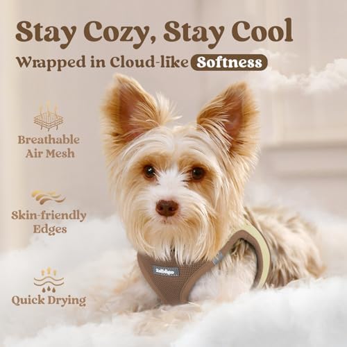 rabbitgoo Step-in Small Dog Harness, Puppy Vest - Image 6