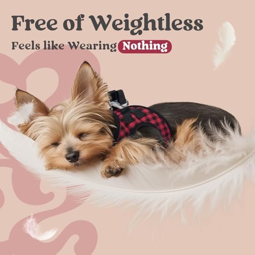 rabbitgoo Step-in Small Dog Harness, Puppy Vest - Image 4