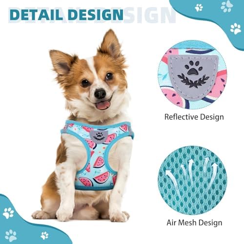KOOLTAIL Dog Harness and Leash Set - Image 4