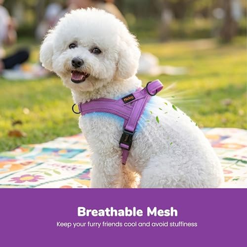 Didog No Pull Dog Harness for Small Dogs, Breathable Mesh Padded - Image 2