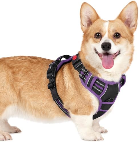 rabbitgoo Dog Harness Small Sized, Updated Easy On & Off by rabbitgoo