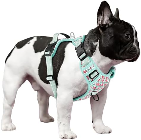 Timos Dog Harness Small Sized, Neck Quick Release - Image 6