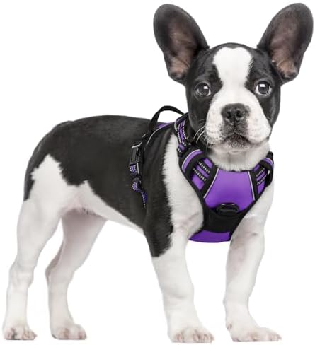 rabbitgoo Dog Harness, No Pull for Small Dogs by rabbitgoo