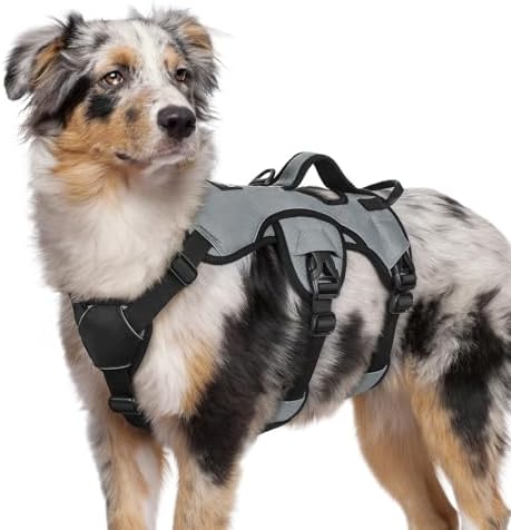 rabbitgoo Escape Proof Dog Harness by rabbitgoo