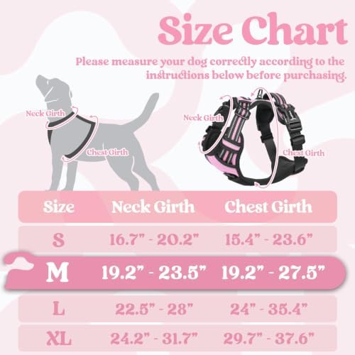 rabbitgoo Dog Harness Medium Sized, Updated Easy On & Off - Image 2