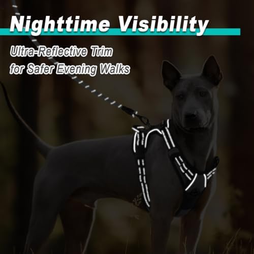 BARKBAY Dog Harness for Large Dog No Pull 2 Leash Clips Dog Vest - Image 5