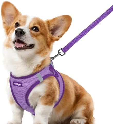 rabbitgoo Dog Harness Small Sized and Leash Set, Step in Soft Vest by rabbitgoo