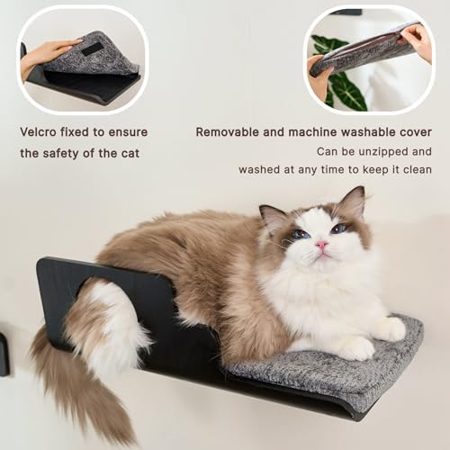LIORCE Cat Wall Shelves, Creative Design Cat Shelf - Image 3