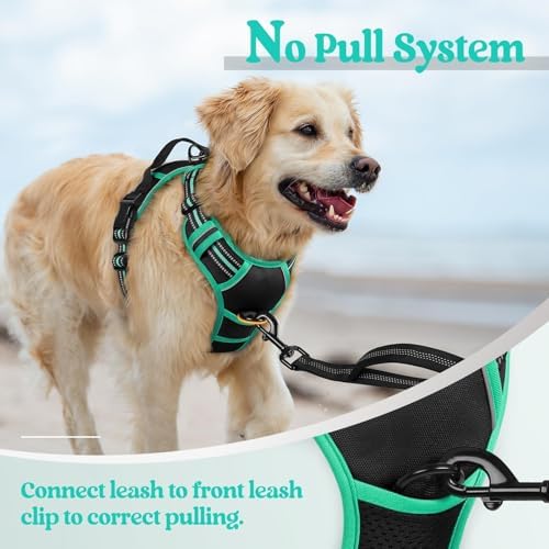 rabbitgoo Dog Harness, No Pull Medium Sized - Image 5