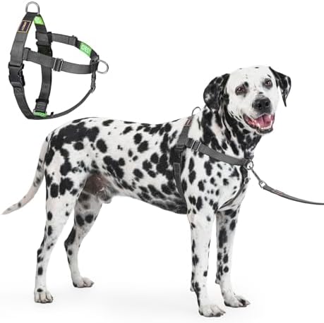 Freedom No Pull Dog Harness for Large Dogs by APDEXY%7CEspeciallyFurYou