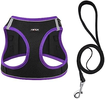 AMTOR Small Dog Harness with Leash Set, No Escape Easy Walk Puppy Harnesses - Image 2