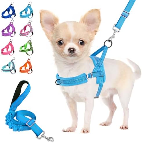 Lukovee Small Dog Harness and Leash Set, No Pull Soft Padded Vest by Lukovee