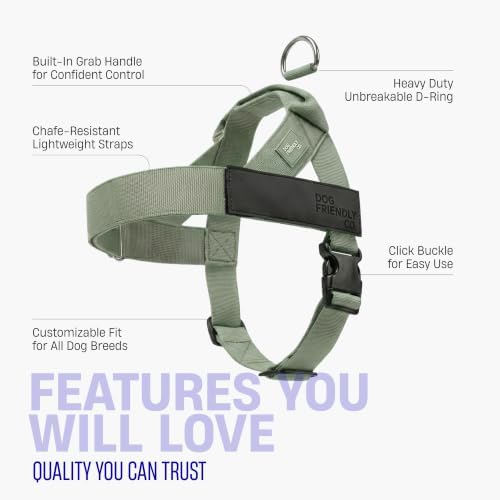 Dog Friendly Co. Dog Harness for Small Dogs - Image 5