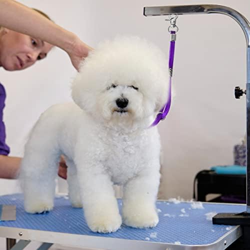 Pet Grooming Loop for Dogs - Image 4