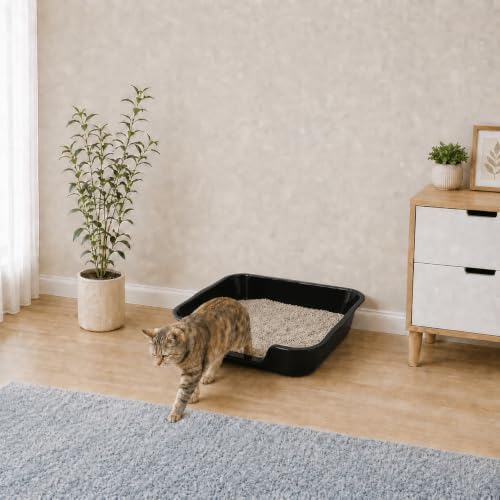 Extra Large Low Entry ABS Cat Litter Box, 2 Pack - Image 4