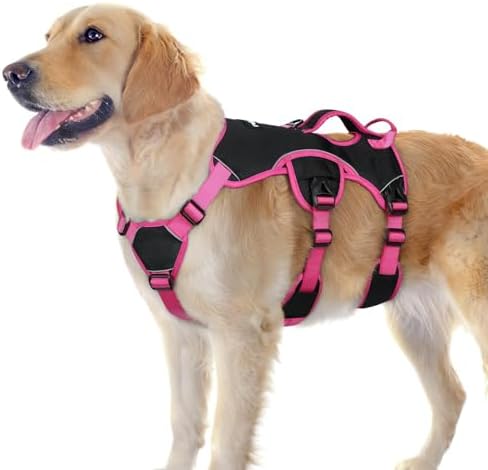 rabbitgoo Escape Proof Dog Harness by rabbitgoo