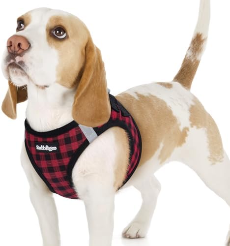 rabbitgoo Step-in Small Dog Harness, Puppy Vest by rabbitgoo