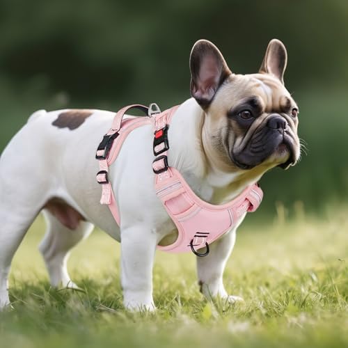 Timos Dog Harness Small Dog, Neck Quick Release, No Pull Pet Vest - Image 6