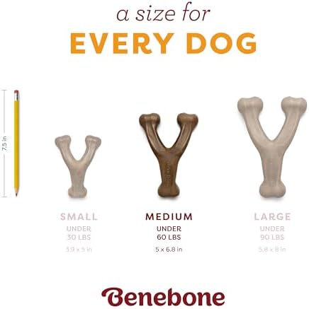 Benebone Wishbone Chew Toy for Aggressive Chewers, Pumpkin Spice - Image 5