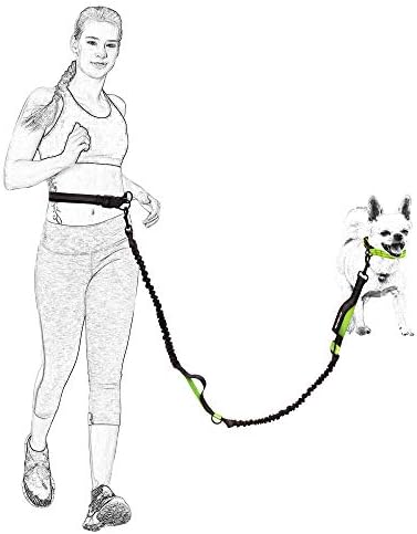 Mile High Life Hands Free Leash, Waist Leash - Image 6
