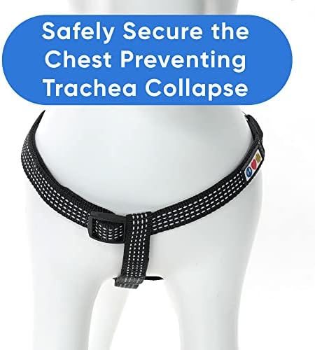 Pawtitas Reflective Step-in Dog Harness – Adjustable No-Pull Vest - Image 6