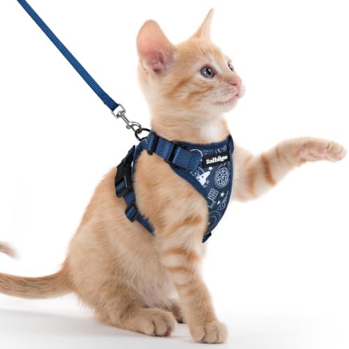 rabbitgoo Cat Harness and Leash Set, Escape Proof Vest, Cosmic Ace by rabbitgoo