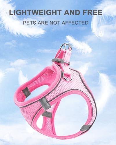 L Blue Soft Mesh Dog Harness and Leash Set, No Escape Puppy Harnesses - Image 2