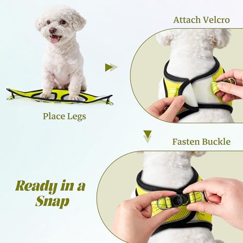 No Pull Dog Puppy Harness and Leash Set Reflective Mesh Vest XX-Small - Image 4