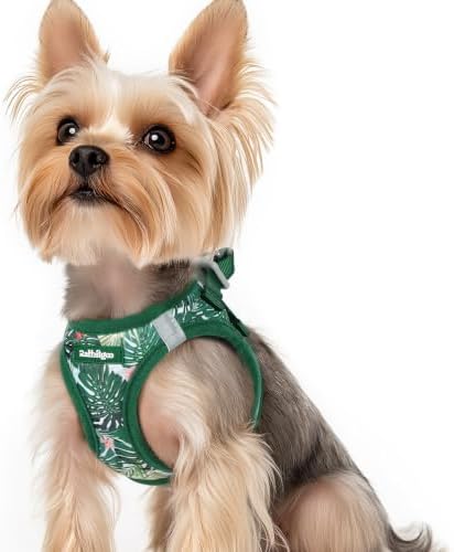 rabbitgoo Step-in Small Dog Harness, Puppy Vest by rabbitgoo
