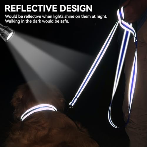 Joytale Reflective Dog Leash for Small Dogs, 6 FT x 3/4" - Image 4