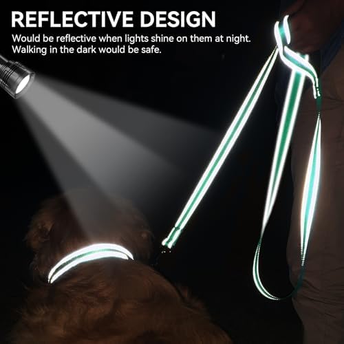 Joytale Reflective Dog Leash for Medium & Large Dogs, 5 FT x 1" - Image 4