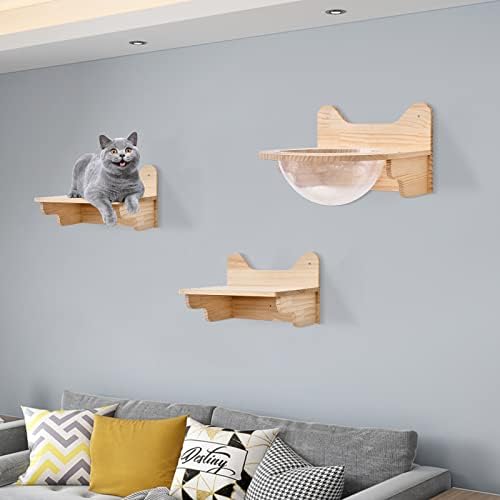 Wall-Mounted Wooden Cat Space Clear Capsule, Transparent Capsule - Image 3