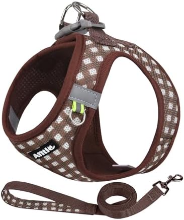 AIITLE Step in Medium Dog Harness and Leash Set, Pet Vest, Chocolate M by AIITLE-FORPETSBETTERLIFE