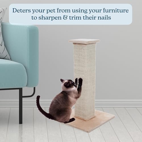 Cat Scratching Post with Carpeted Base - Image 3