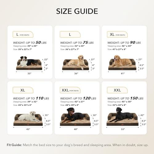 Orthopedic Washable Dog Bed for Medium Dogs - Image 5