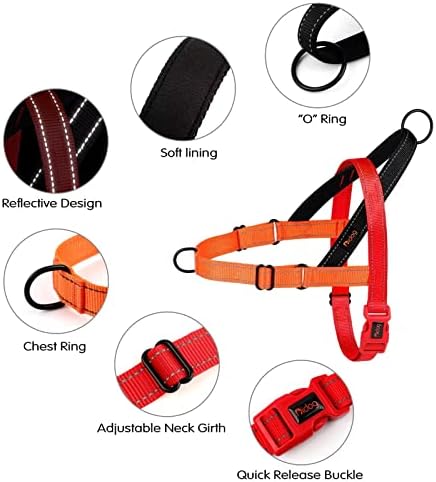 Didog No Pull Dog Harness for Small Dogs, Soft Padded Handle - Image 2