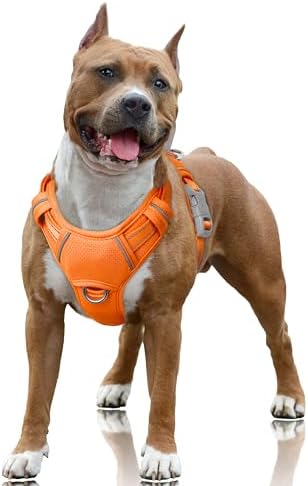 BARKBAY No Pull Dog Harness Large Reflective Dog Harness by BARKBAY