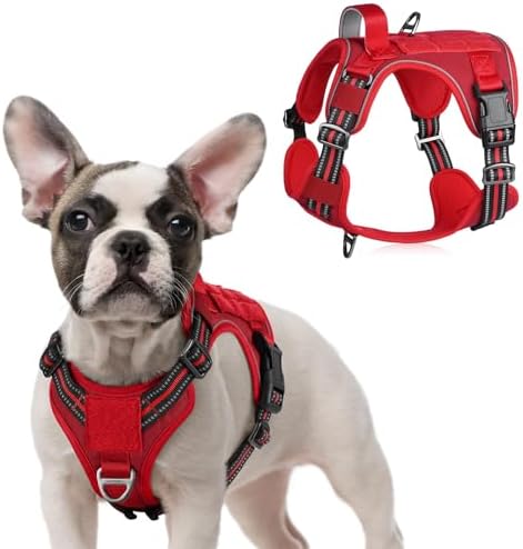 rabbitgoo Tactical Dog Harness for Small, No Pull Military Service Vest by rabbitgoo