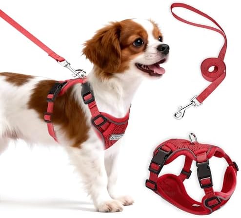 Small Dog Harness and Leash Set, Adjustable Small Sized Pet Vest by Unknown