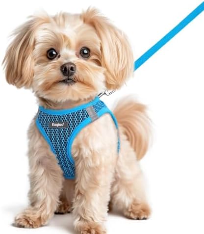 Eagloo Small Dog Harness and Leash Set, Step in Small Sized Puppy Pet Vest by GoExplorewithEagloo