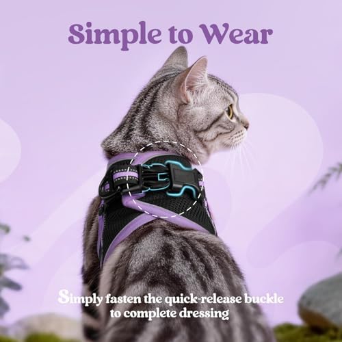 rabbitgoo Cat Harness and Leash Set, Step-in Soft Vest - Image 4