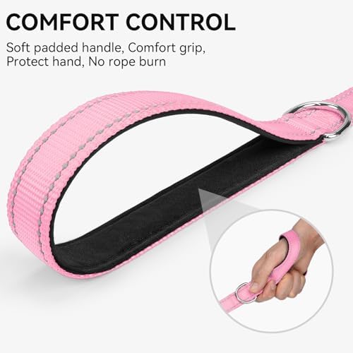 Joytale Reflective Dog Leash for Medium & Large Dogs, 4 FT x 1" - Image 3
