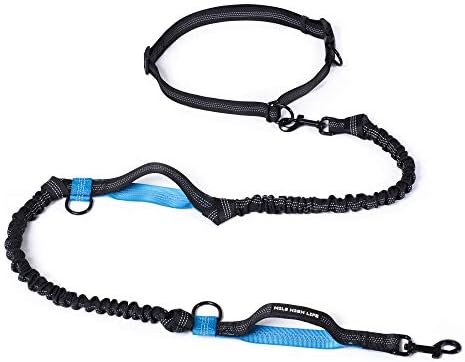 Mile High Life Hands Free Leash, Waist Leash by MileHighLife