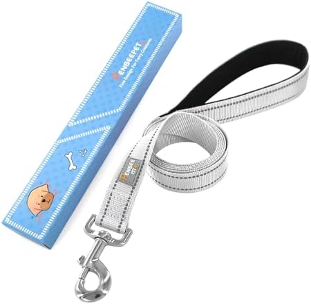 6 FT Basic Dog Leash for Medium Dogs - Image 6