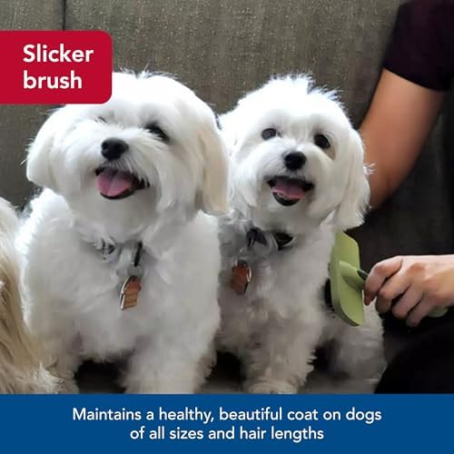 Coastal Pet Safari Curved Firm Slicker Brush - Image 3