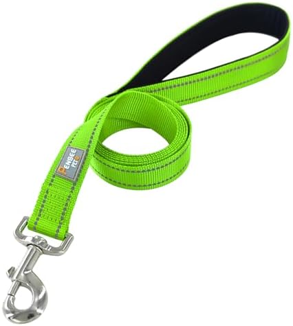 6 FT Basic Dog Leash for Large Dogs - Image 2