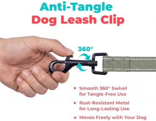 Best Pet Supplies Voyager Nylon Dog Leash - Image 7